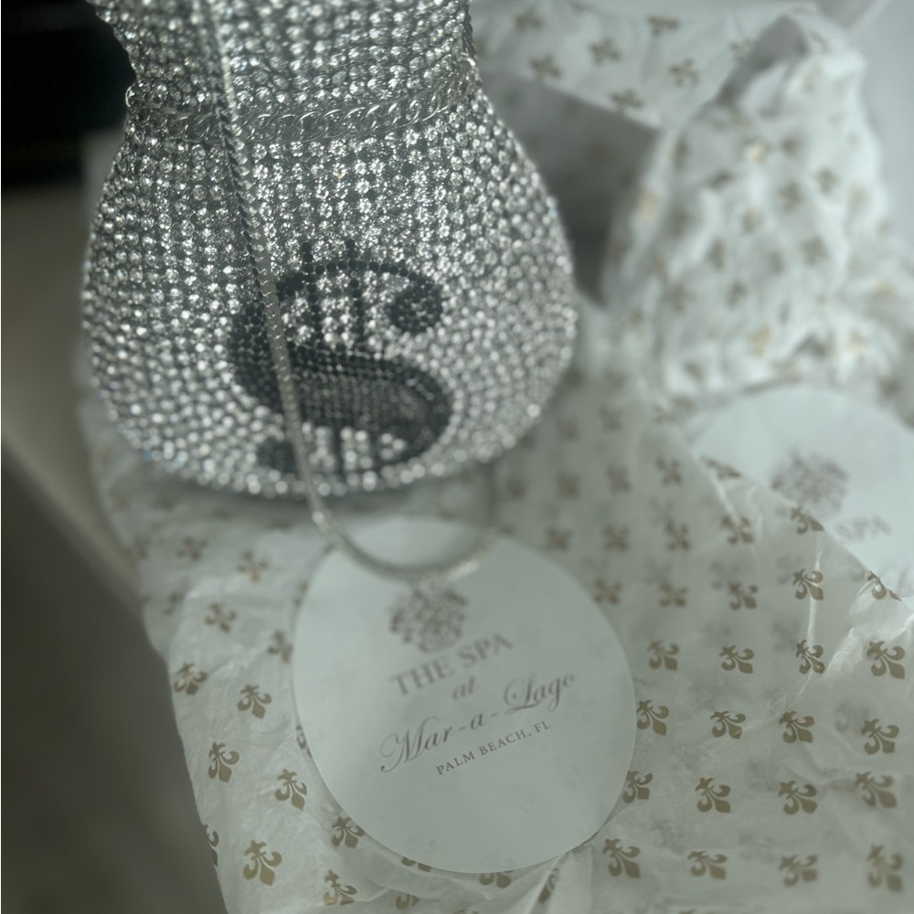 Crystal Rhinestone Dollar Sign Drawstring Clutch - Silver - Picture 2 of 5